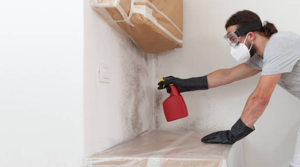 Professional Commercial Mold Remediation technician working in Weehawken, NJ