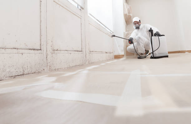 24/7 Emergency Commercial Mold Remediation experts in Weehawken, NJ