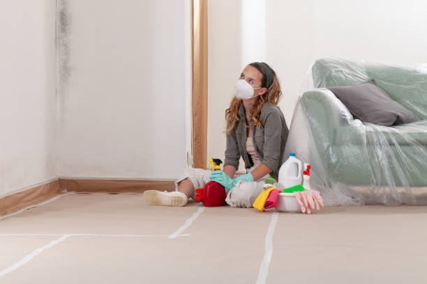 Reliable Commercial Mold Remediation contractor in Weehawken, NJ by Car Mold Remediation